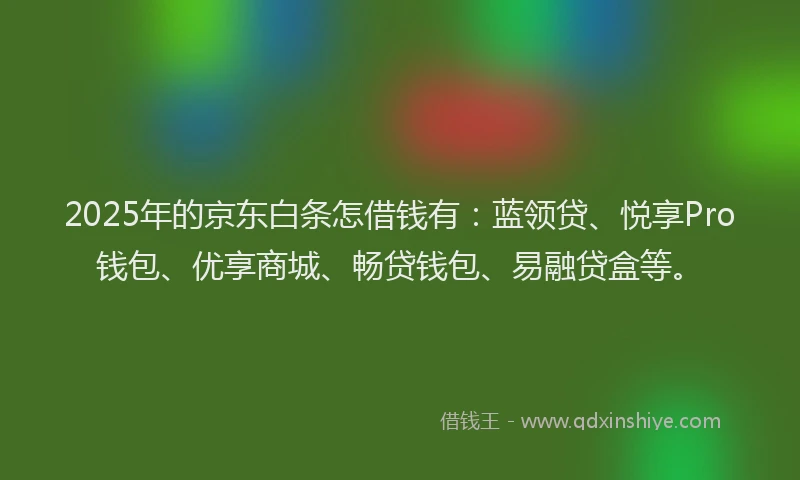 2025年的京东白条怎借钱有：蓝领贷、悦享Pro钱包、优享商城、畅贷钱包、易融贷盒等。