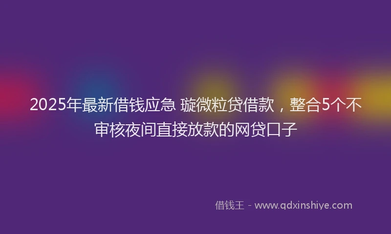 2025年最新借钱应急 璇微粒贷借款，整合5个不审核夜间直接放款的网贷口子