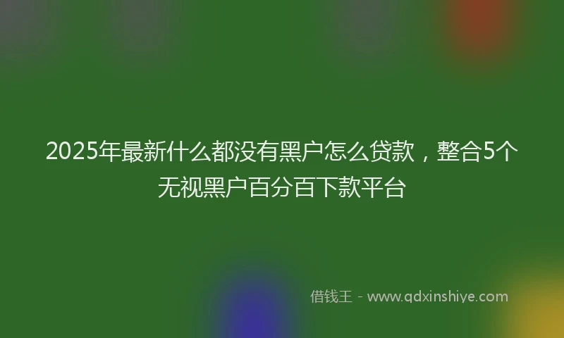 2025年最新什么都没有黑户怎么贷款，整合5个无视黑户百分百下款平台