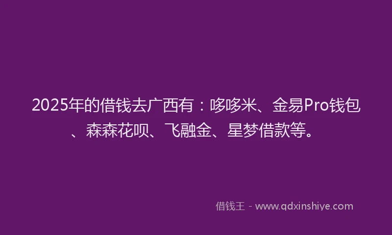 2025年的借钱去广西有：哆哆米、金易Pro钱包、森森花呗、飞融金、星梦借款等。