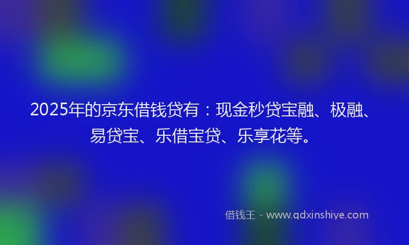 2025年的京东借钱贷有：现金秒贷宝融、极融、易贷宝、乐借宝贷、乐享花等。
