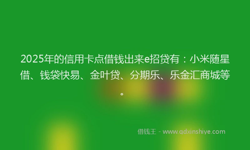 2025年的信用卡点借钱出来e招贷有：小米随星借、钱袋快易、金叶贷、分期乐、乐金汇商城等。