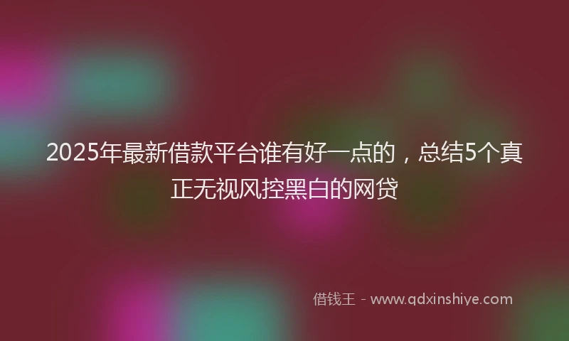 2025年最新借款平台谁有好一点的，总结5个真正无视风控黑白的网贷