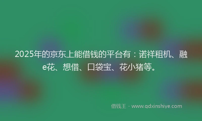 2025年的京东上能借钱的平台有：诺祥租机、融e花、想借、口袋宝、花小猪等。