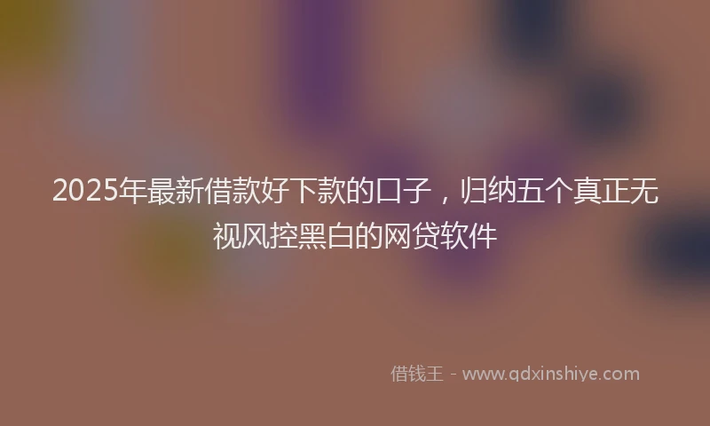 2025年最新借款好下款的口子，归纳五个真正无视风控黑白的网贷软件