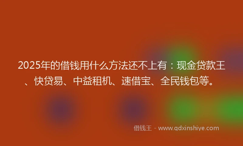 2025年的借钱用什么方法还不上有：现金贷款王、快贷易、中益租机、速借宝、全民钱包等。