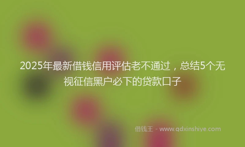 2025年最新借钱信用评估老不通过，总结5个无视征信黑户必下的贷款口子