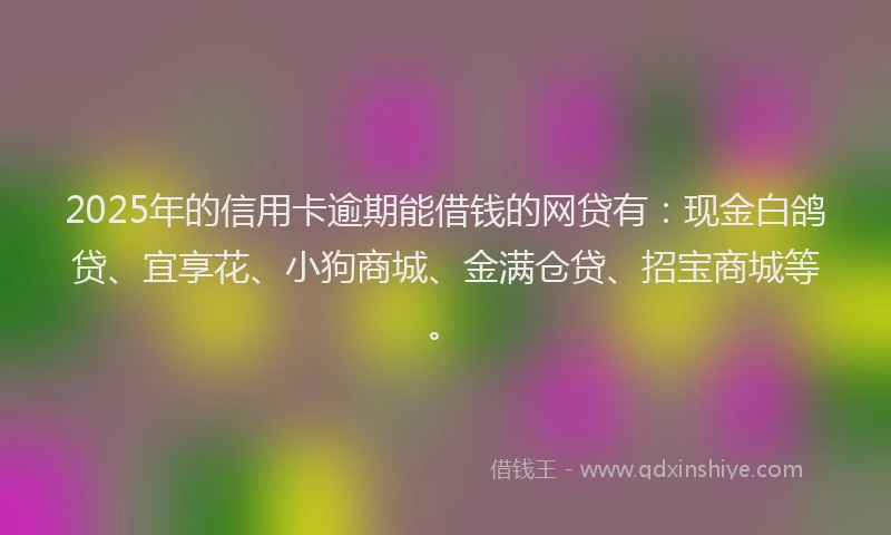 2025年的信用卡逾期能借钱的网贷有：现金白鸽贷、宜享花、小狗商城、金满仓贷、招宝商城等。