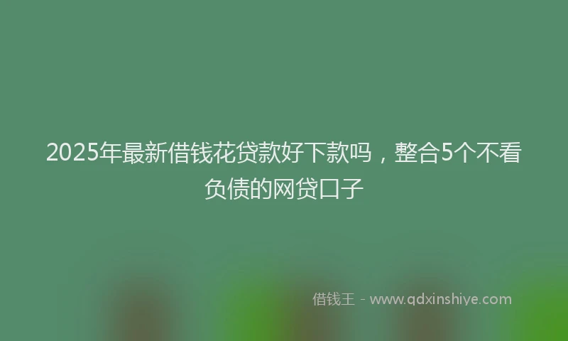 2025年最新借钱花贷款好下款吗，整合5个不看负债的网贷口子