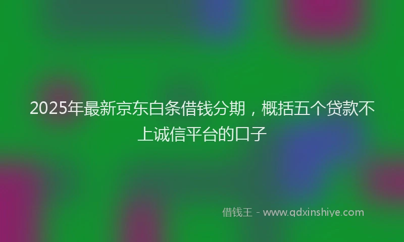 2025年最新京东白条借钱分期，概括五个贷款不上诚信平台的口子