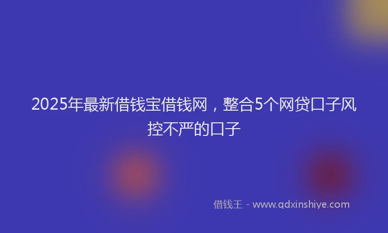 2025年最新借钱宝借钱网，整合5个网贷口子风控不严的口子