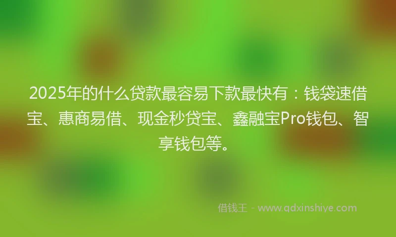2025年的什么贷款最容易下款最快有：钱袋速借宝、惠商易借、现金秒贷宝、鑫融宝Pro钱包、智享钱包等。