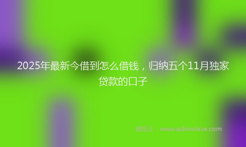 2025年最新今借到怎么借钱，归纳五个11月独家贷款的口子