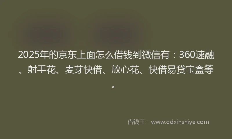 2025年的京东上面怎么借钱到微信有：360速融、射手花、麦芽快借、放心花、快借易贷宝盒等。