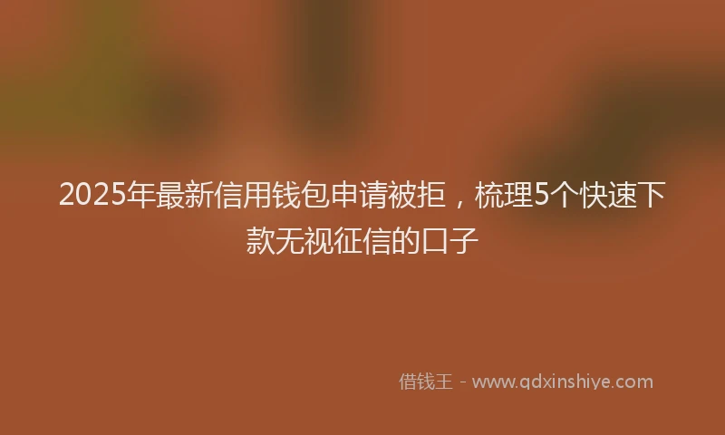 2025年最新信用钱包申请被拒，梳理5个快速下款无视征信的口子
