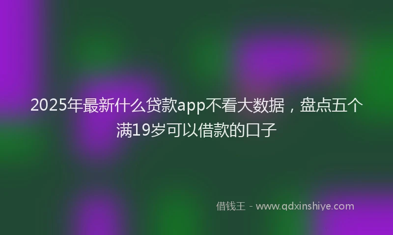 2025年最新什么贷款app不看大数据，盘点五个满19岁可以借款的口子