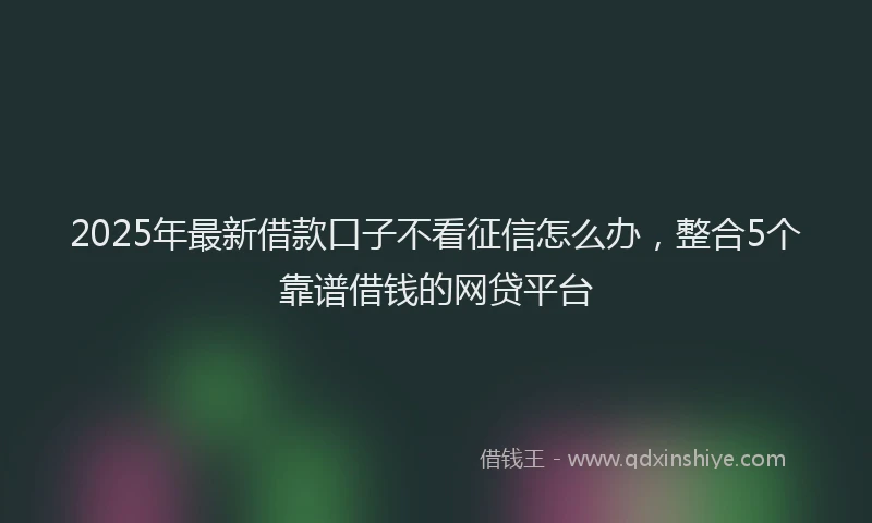 2025年最新借款口子不看征信怎么办，整合5个靠谱借钱的网贷平台