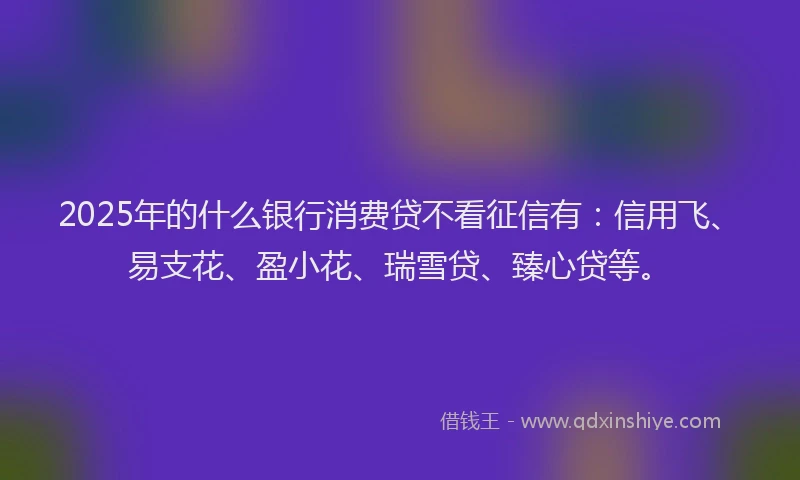 2025年的什么银行消费贷不看征信有：信用飞、易支花、盈小花、瑞雪贷、臻心贷等。