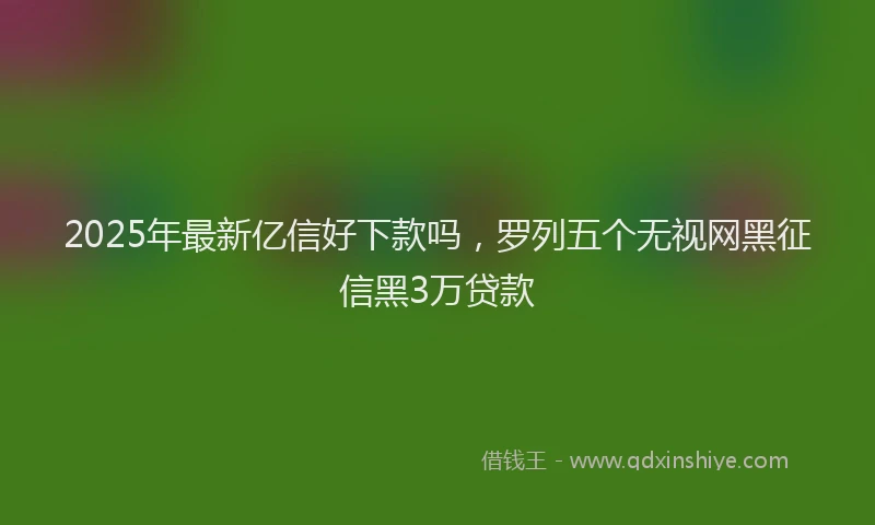 2025年最新亿信好下款吗，罗列五个无视网黑征信黑3万贷款