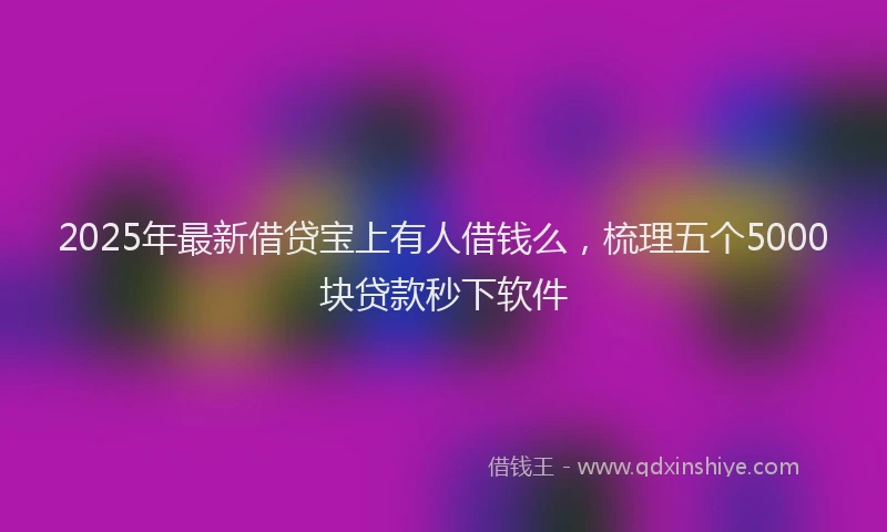 2025年最新借贷宝上有人借钱么，梳理五个5000块贷款秒下软件