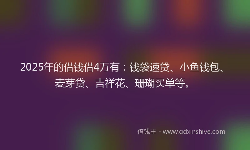 2025年的借钱借4万有：钱袋速贷、小鱼钱包、麦芽贷、吉祥花、珊瑚买单等。