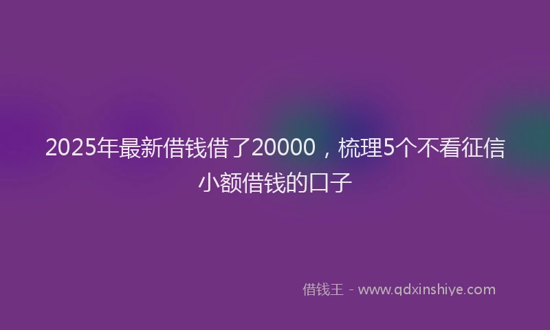 2025年最新借钱借了20000，梳理5个不看征信小额借钱的口子
