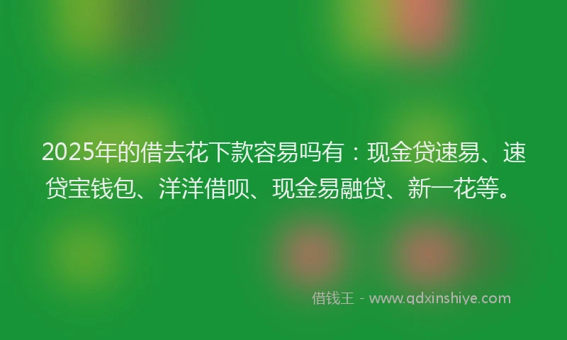 2025年的借去花下款容易吗有：现金贷速易、速贷宝钱包、洋洋借呗、现金易融贷、新一花等。