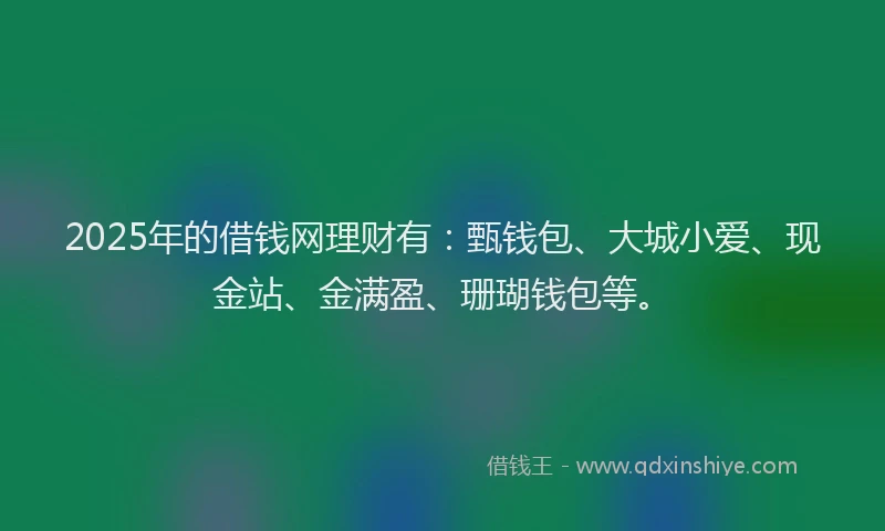 2025年的借钱网理财有：甄钱包、大城小爱、现金站、金满盈、珊瑚钱包等。