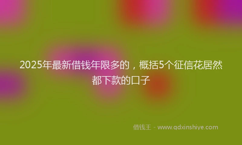 2025年最新借钱年限多的，概括5个征信花居然都下款的口子