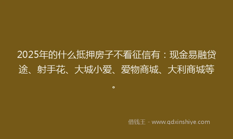 2025年的什么抵押房子不看征信有：现金易融贷途、射手花、大城小爱、爱物商城、大利商城等。