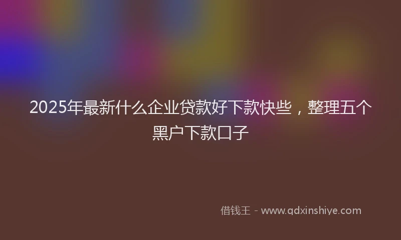 2025年最新什么企业贷款好下款快些，整理五个黑户下款口子