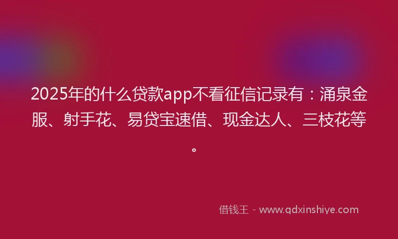 2025年的什么贷款app不看征信记录有：涌泉金服、射手花、易贷宝速借、现金达人、三枝花等。