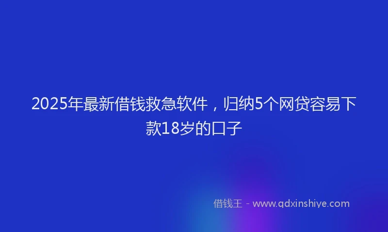 2025年最新借钱救急软件，归纳5个网贷容易下款18岁的口子
