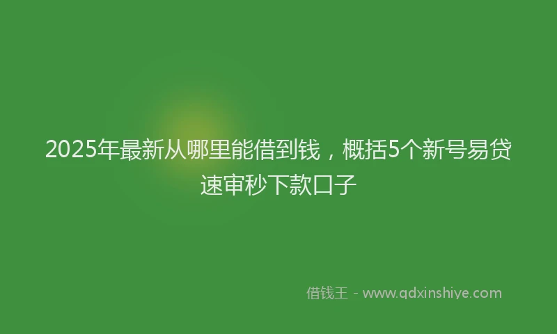 2025年最新从哪里能借到钱，概括5个新号易贷速审秒下款口子