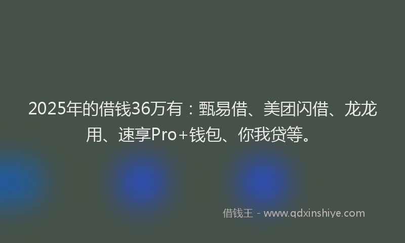 2025年的借钱36万有：甄易借、美团闪借、龙龙用、速享Pro+钱包、你我贷等。