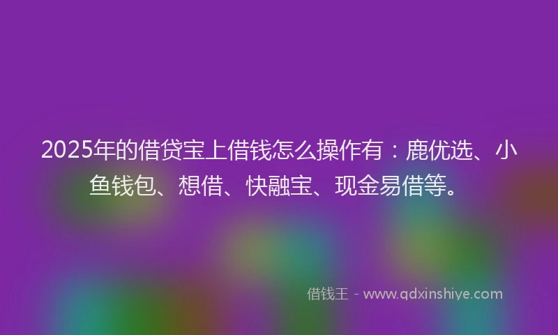 2025年的借贷宝上借钱怎么操作有：鹿优选、小鱼钱包、想借、快融宝、现金易借等。
