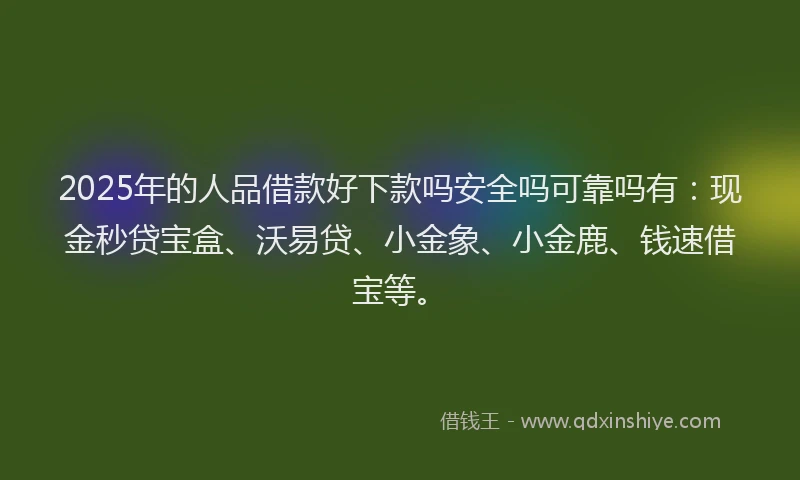 2025年的人品借款好下款吗安全吗可靠吗有：现金秒贷宝盒、沃易贷、小金象、小金鹿、钱速借宝等。