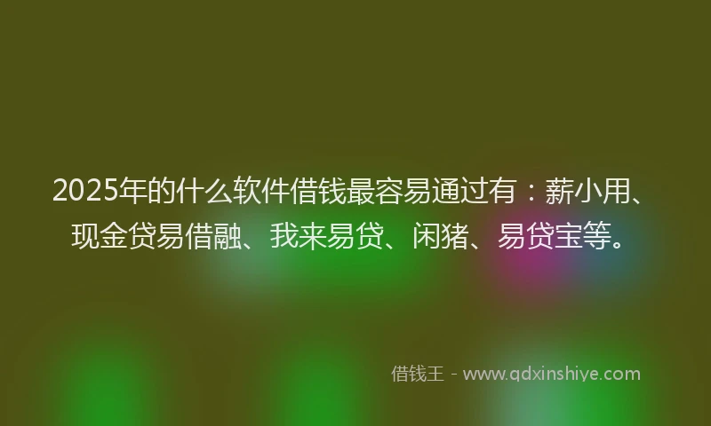 2025年的什么软件借钱最容易通过有：薪小用、现金贷易借融、我来易贷、闲猪、易贷宝等。