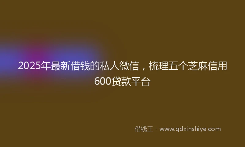 2025年最新借钱的私人微信，梳理五个芝麻信用600贷款平台