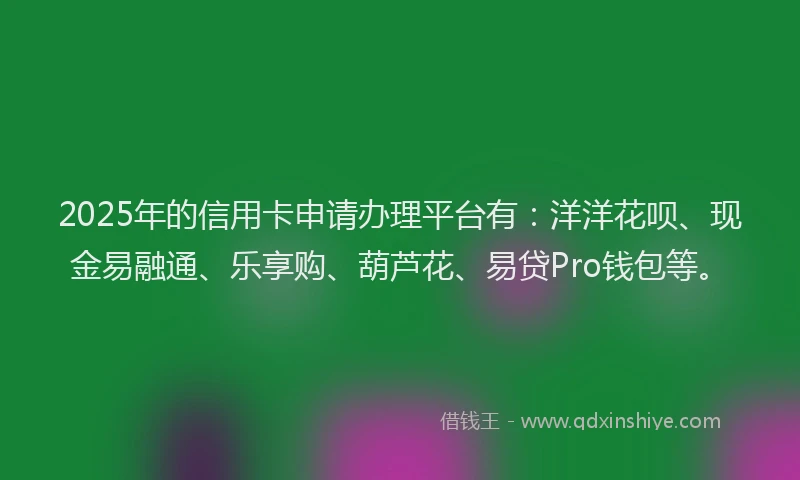 2025年的信用卡申请办理平台有：洋洋花呗、现金易融通、乐享购、葫芦花、易贷Pro钱包等。