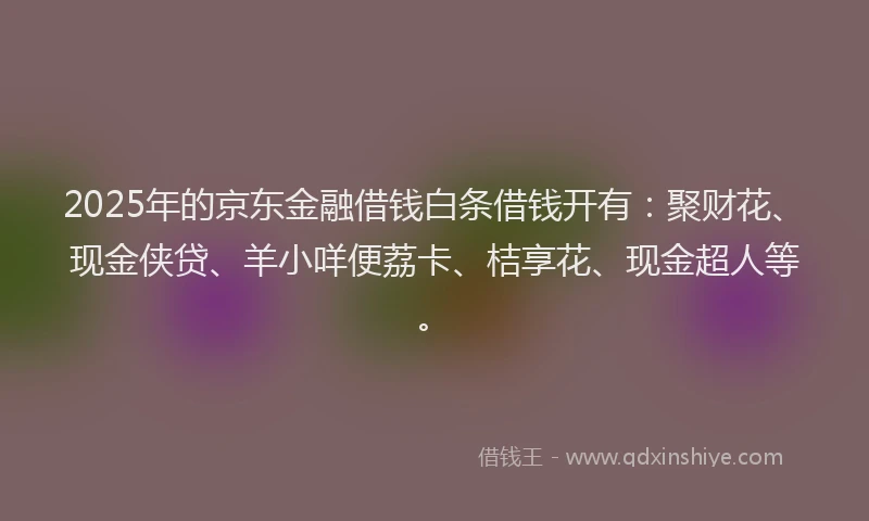2025年的京东金融借钱白条借钱开有：聚财花、现金侠贷、羊小咩便荔卡、桔享花、现金超人等。