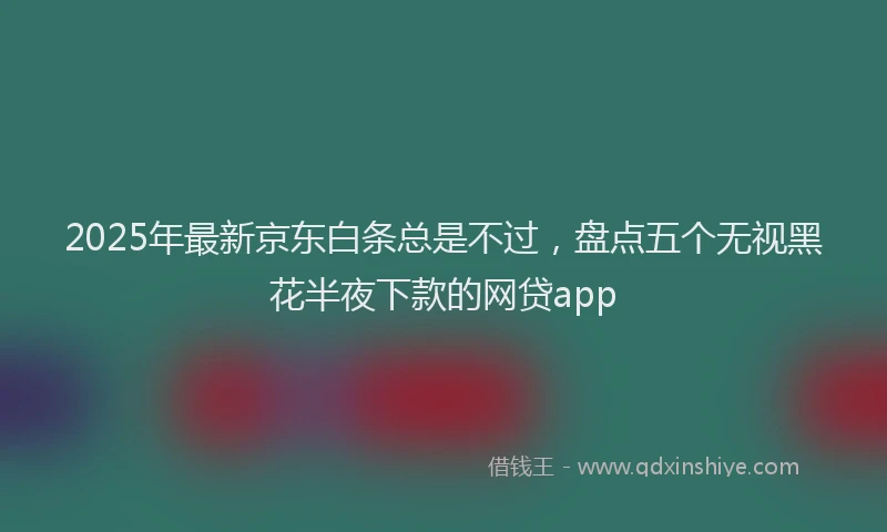 2025年最新京东白条总是不过，盘点五个无视黑花半夜下款的网贷app