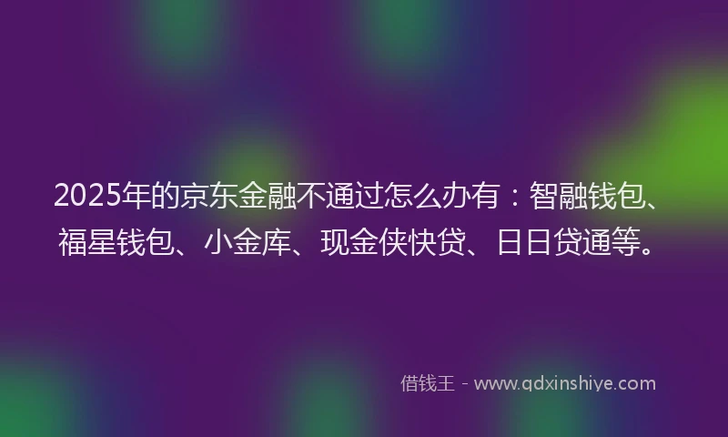 2025年的京东金融不通过怎么办有：智融钱包、福星钱包、小金库、现金侠快贷、日日贷通等。