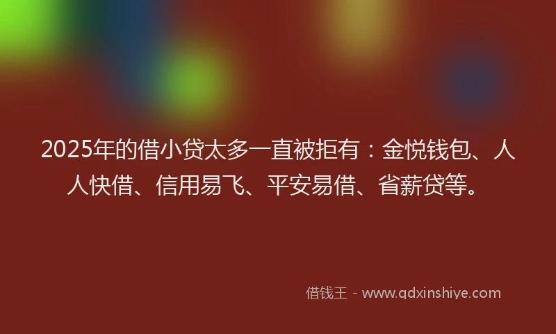 2025年的借小贷太多一直被拒有：金悦钱包、人人快借、信用易飞、平安易借、省薪贷等。