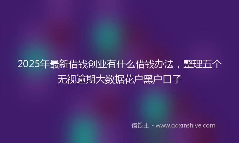 2025年最新借钱创业有什么借钱办法，整理五个无视逾期大数据花户黑户口子