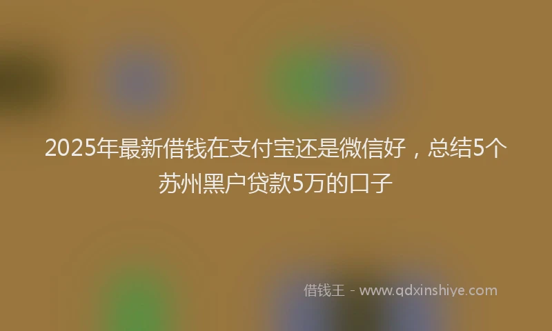 2025年最新借钱在支付宝还是微信好，总结5个苏州黑户贷款5万的口子