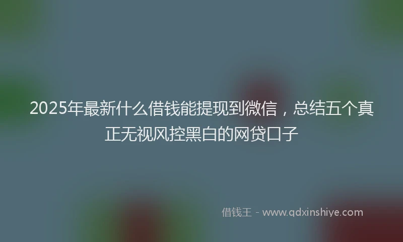 2025年最新什么借钱能提现到微信，总结五个真正无视风控黑白的网贷口子