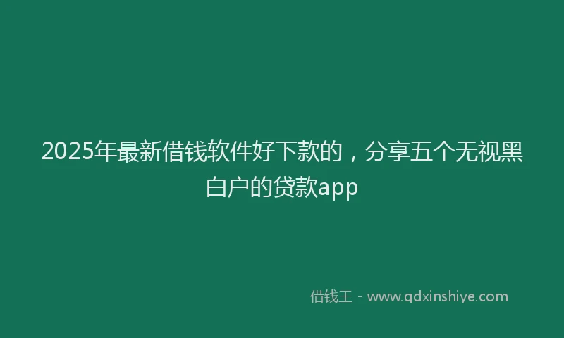 2025年最新借钱软件好下款的，分享五个无视黑白户的贷款app