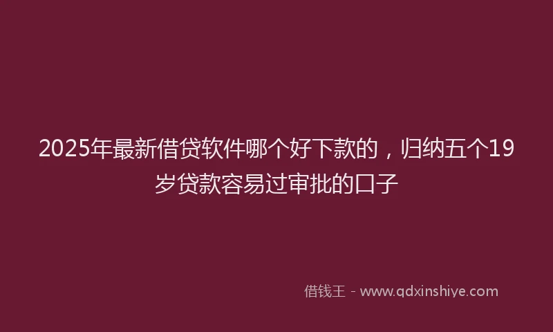 2025年最新借贷软件哪个好下款的，归纳五个19岁贷款容易过审批的口子