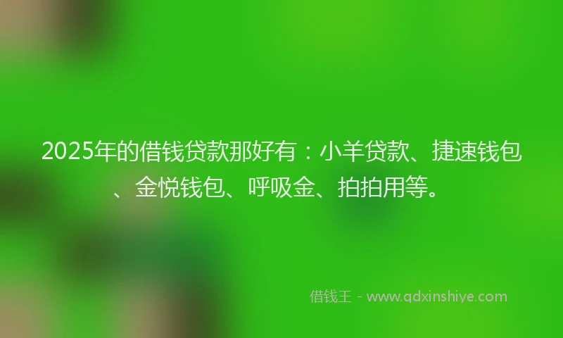 2025年的借钱贷款那好有：小羊贷款、捷速钱包、金悦钱包、呼吸金、拍拍用等。